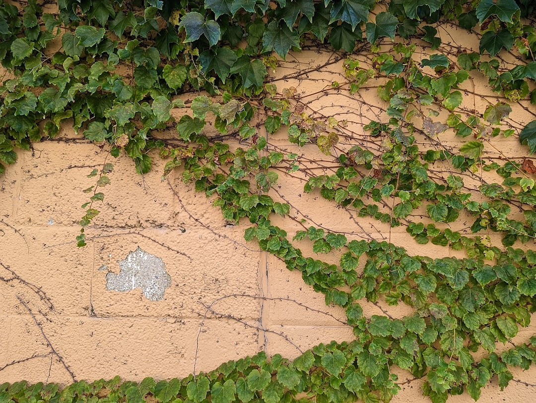 Карта расположения офиса